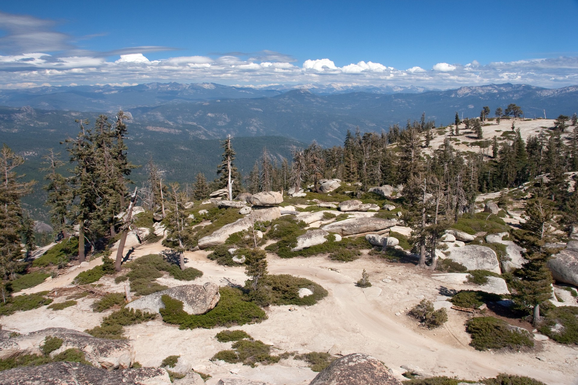 Fire Road on Shuteye Ridge Fire Road on Shuteye Ridge