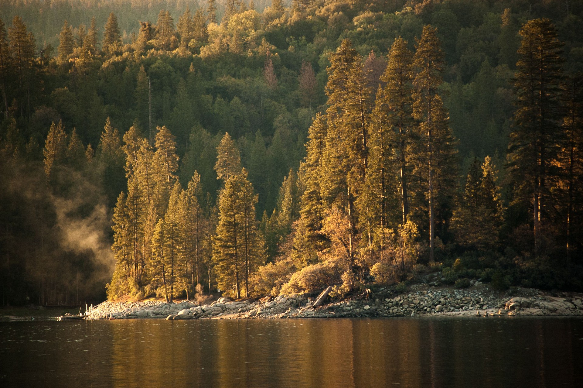Bass Lake Forest Woodline Bass Lake Forest Woodline